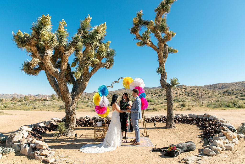 Joshua Tree wedding officiant Let's Get Married by Marie